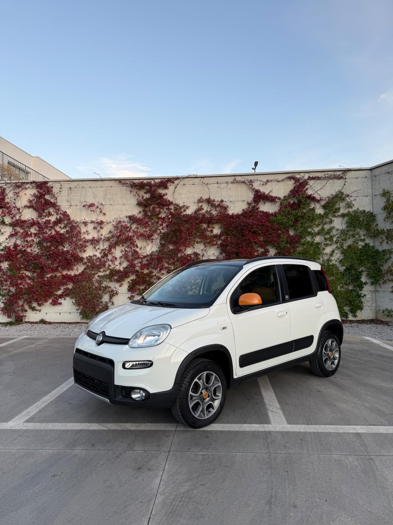 Fiat Panda 0.9 TwinAir Turbo s&s 4x4 ANTARTICA