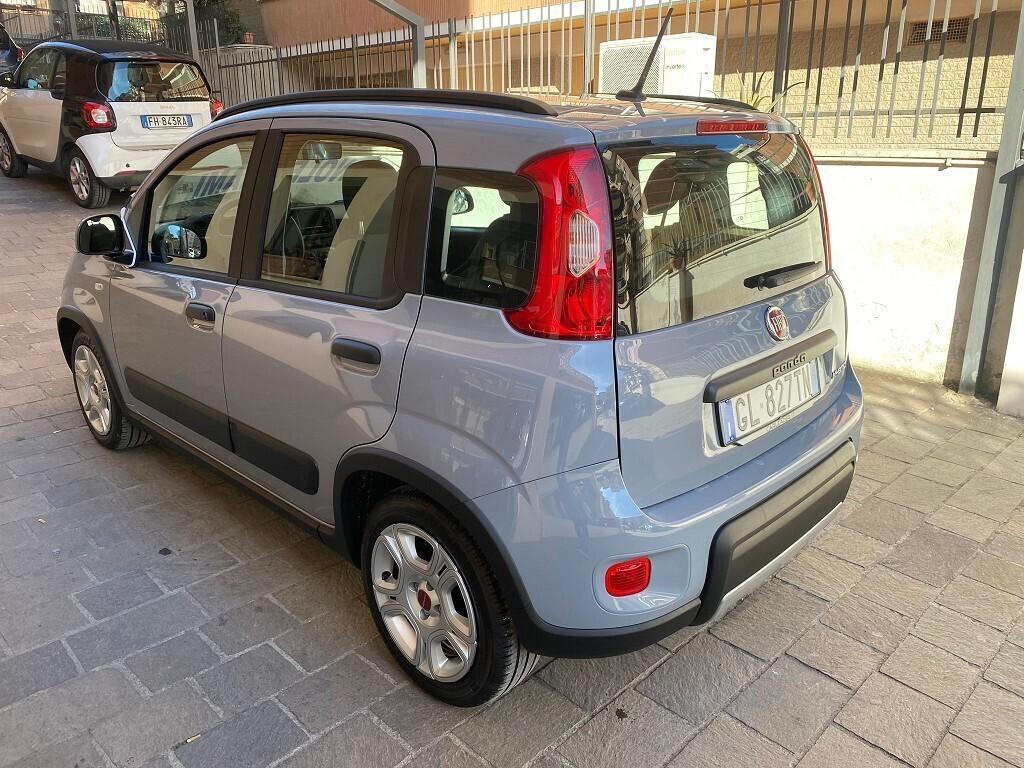 FIAT Panda 1.0 FireFly 5 porte S&S Hybrid NOLEGGIO