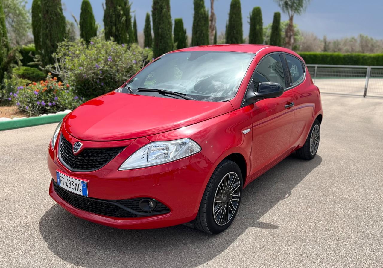 Lancia Ypsilon 1.2 69 CV 5 porte S&S Platinum