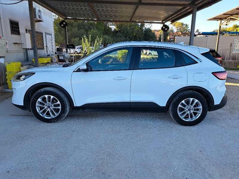 FORD KUGA 1.5 EcoBlue 120CV 2WD Titanium Business Auto