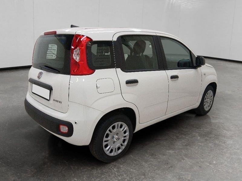 FIAT Pandina 1.0 firefly hybrid Icon s&s 70cv 5p.ti