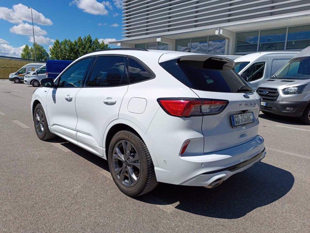 FORD Kuga 1.5 ecoblue ST-Line 2wd 120cv del 2021