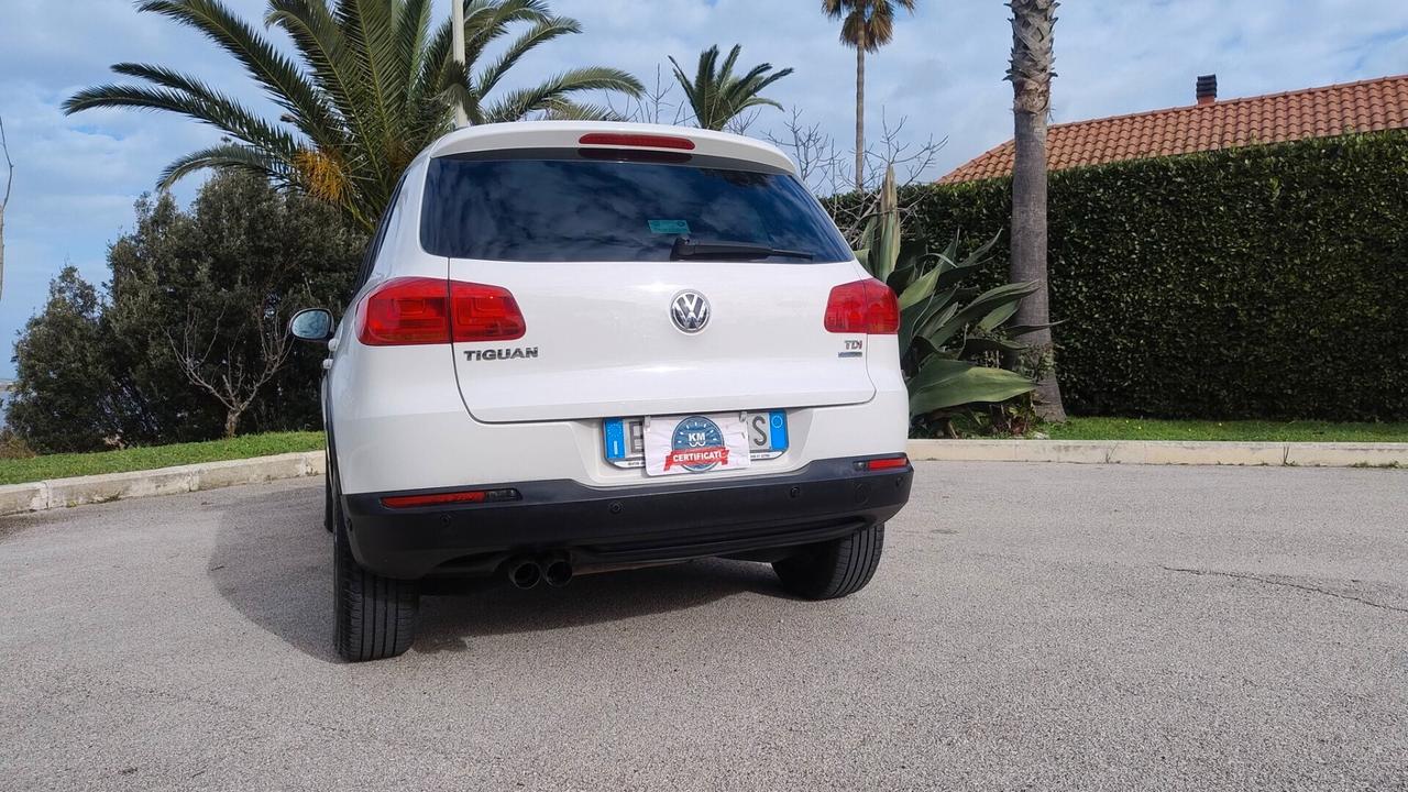 Volkswagen Tiguan 2.0 TDI 110 CV Trend & Fun BlueMotion Technology