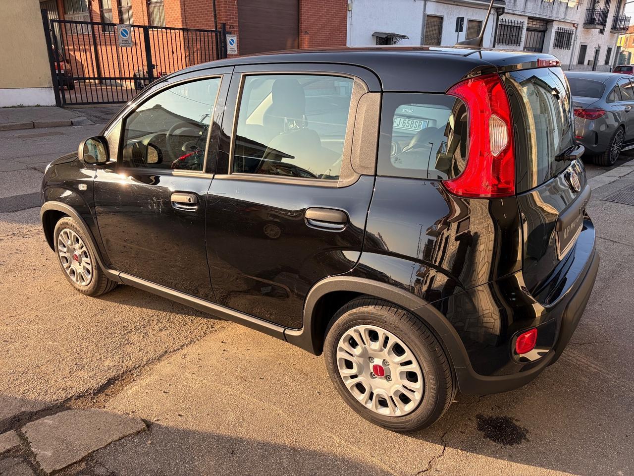 Fiat Panda 1.0 FireFly S&S Hybrid km 13000