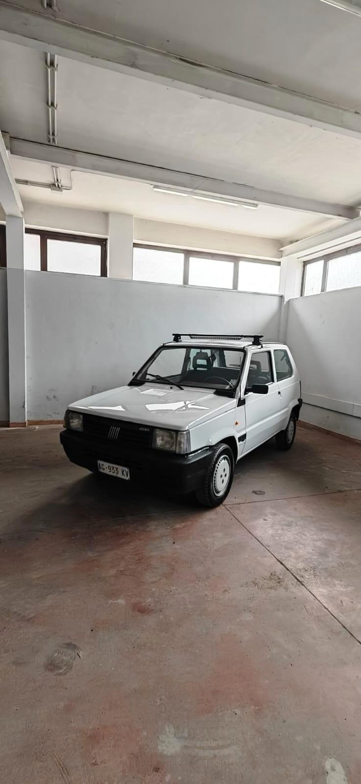 Fiat Panda 900 i.e. cat Young