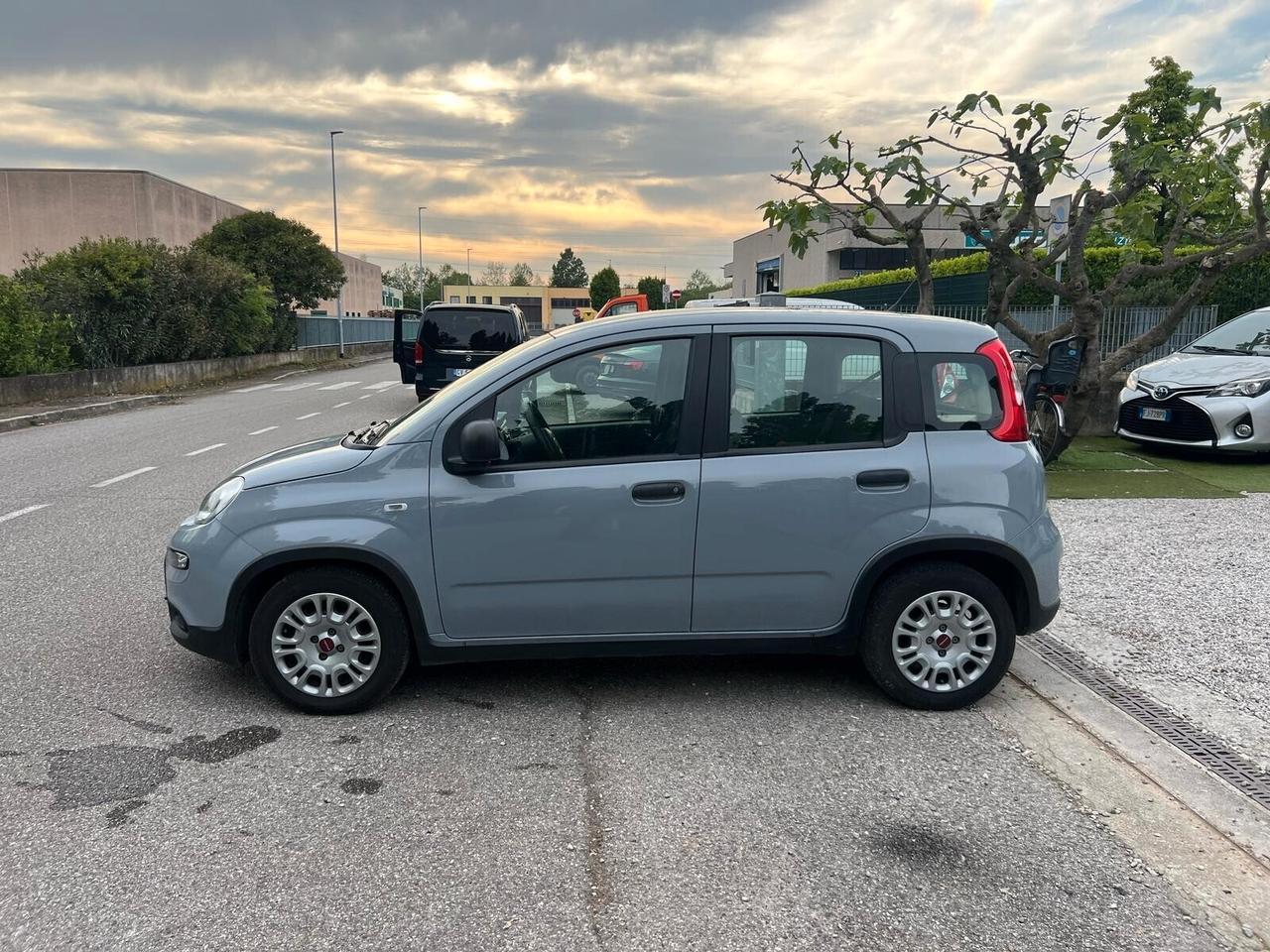Fiat Panda 1.0 FireFly S&S Hybrid Red Ok neopatentato