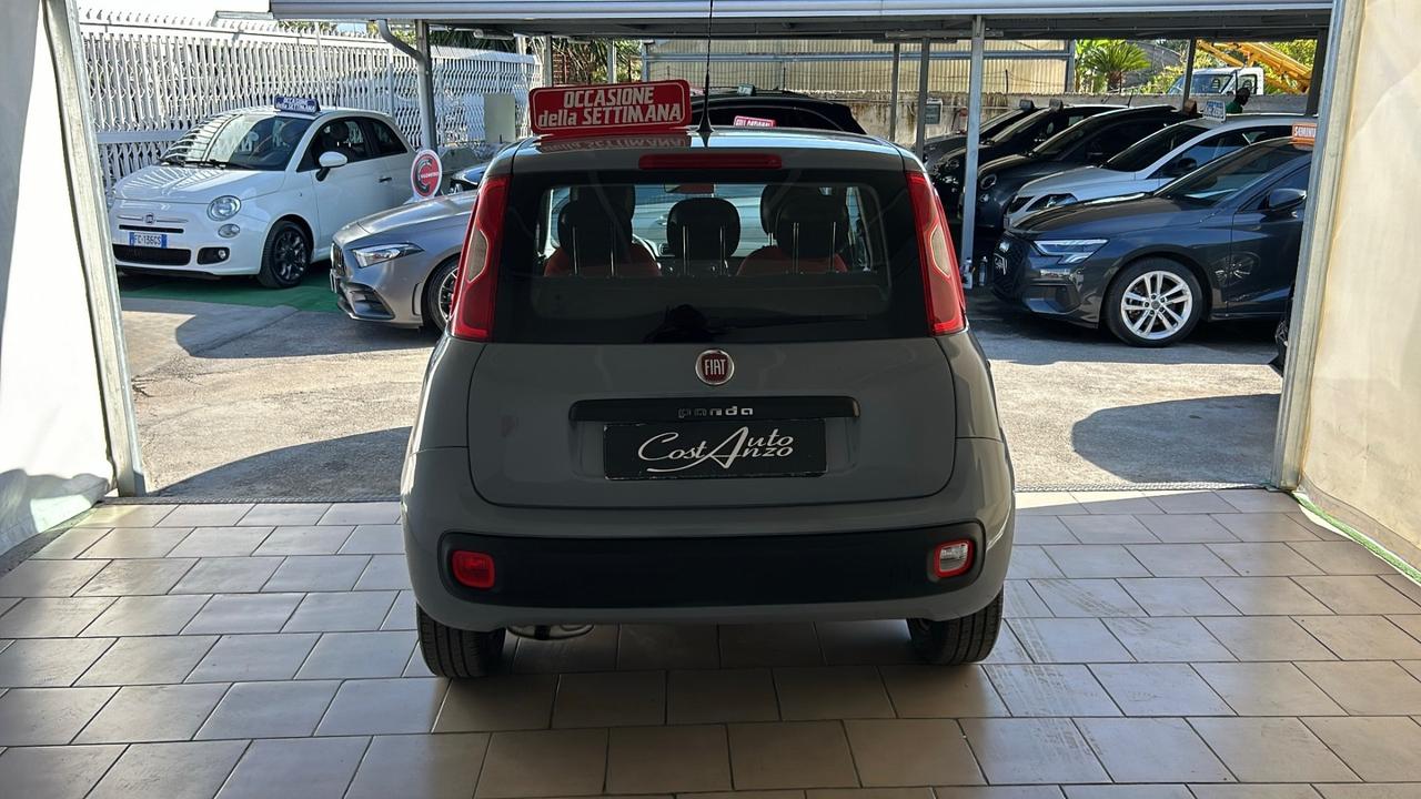 Fiat Panda 1.2 Benzina 69 cv Easy 2018