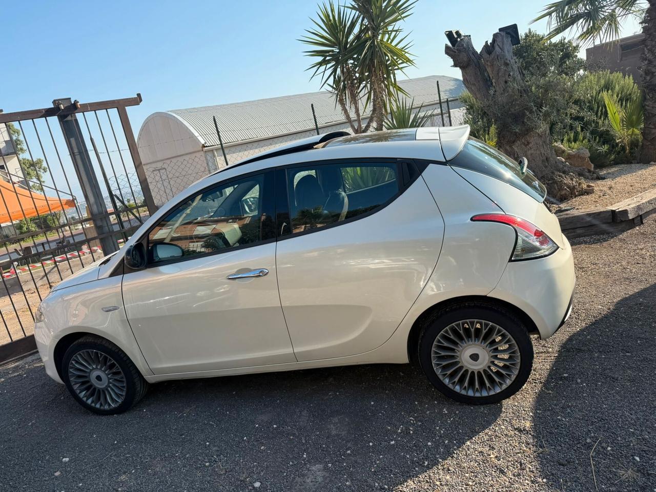 Lancia Ypsilon 1.3 MJT 16V 95 CV 5 porte S&S Platinum