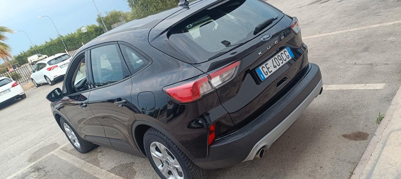 Ford Kuga 1.5 EcoBlue 120 CV 2WD Titanium Business