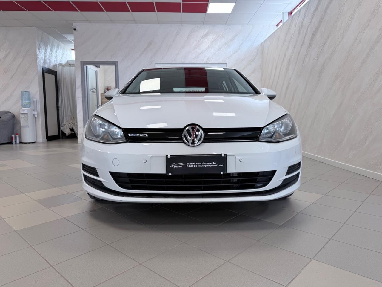 Volkswagen Golf 1.4 TGI 5p. Executive BlueMotion