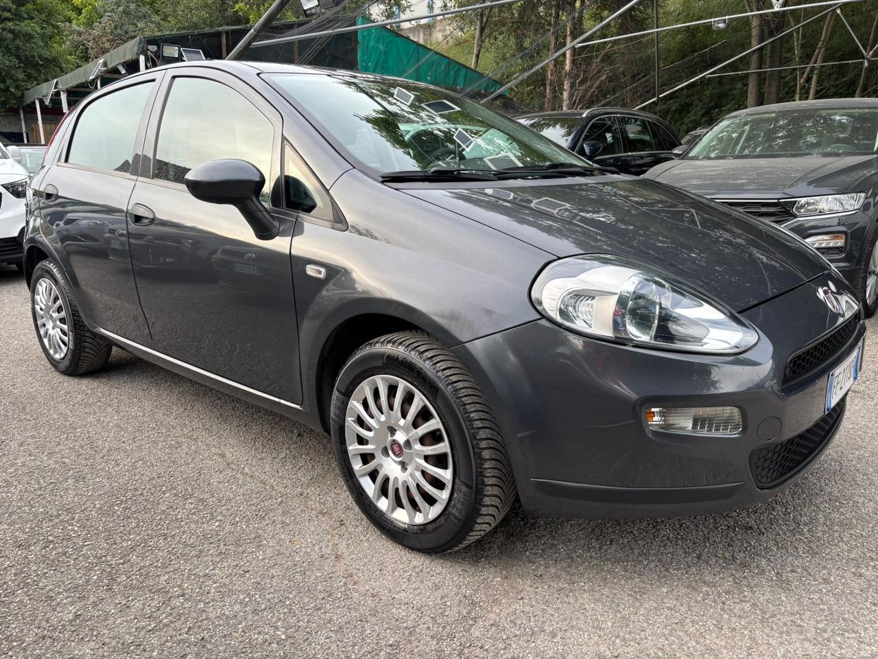 Fiat Punto 1.2 8V 5 porte Lounge OK Neopatentati