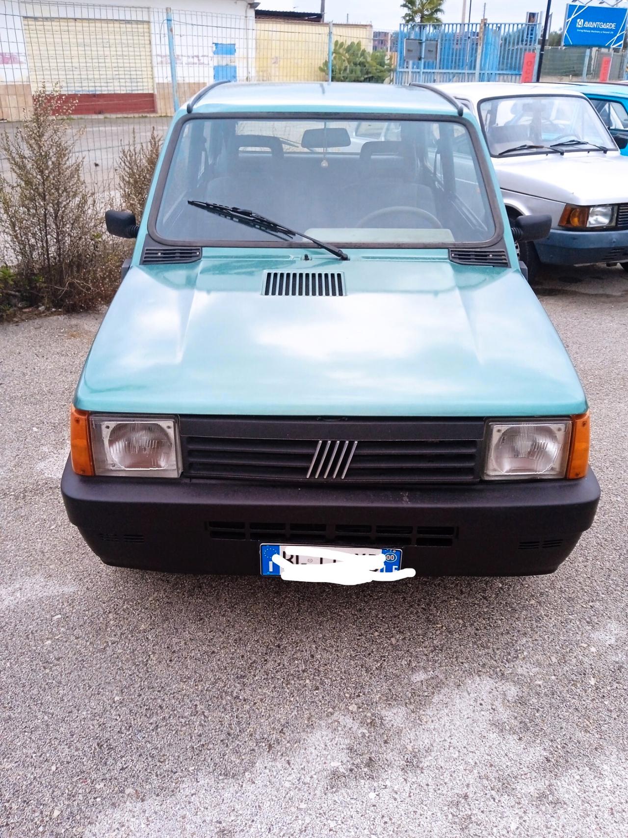 Fiat Panda 900 i.e. cat Young