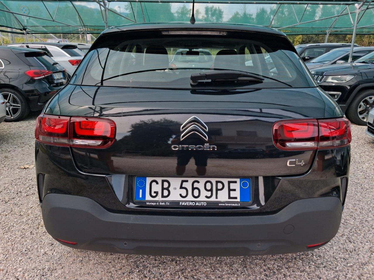 Citroen C4 Cactus 1.5 bluehdi Feel s&s 100cv my19