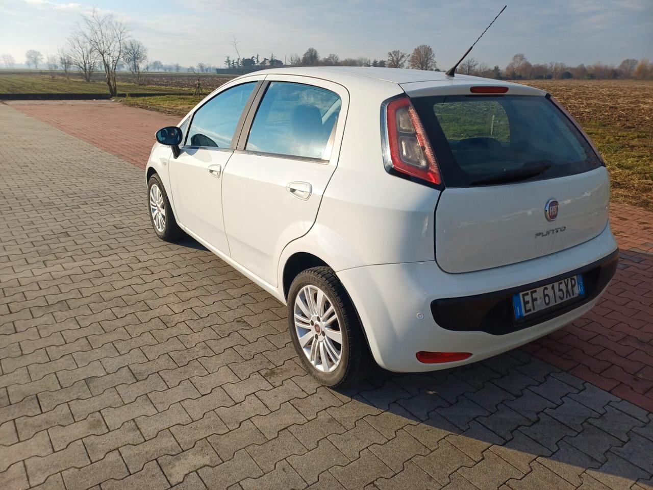 Fiat Punto Evo 1.3 Mjt 75 CV DPF 5 porte S&S Dynamic