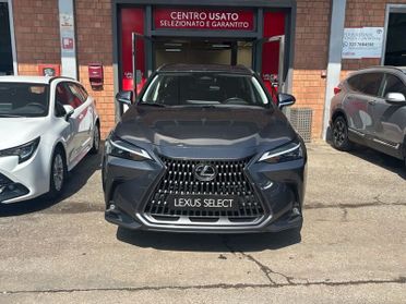 Lexus NX Hybrid Business 4WD