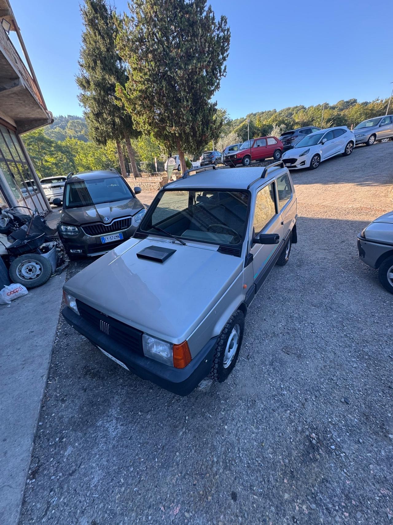 Fiat Panda 1100 i.e. cat 4x4 Trekking
