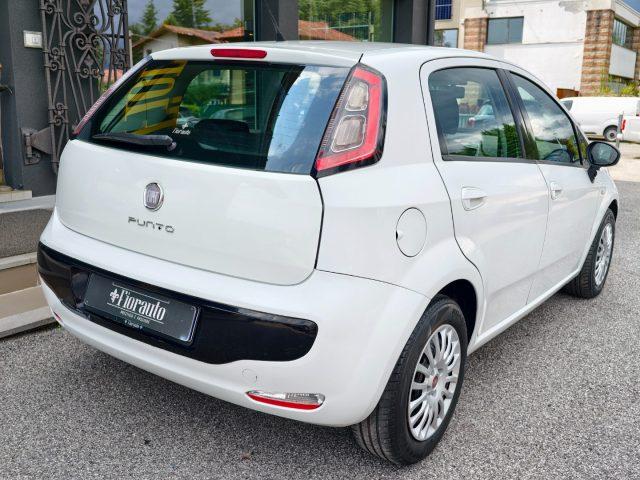 FIAT Punto Evo 1.3 Mjt 75 CV 5 porte Active NEOPATENTATI
