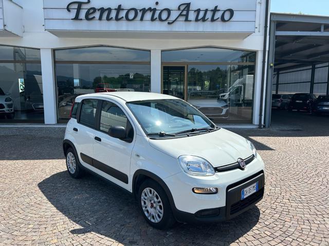 FIAT Panda 1.0 FireFly S&S Hybrid City Life van 4 posti + iva
