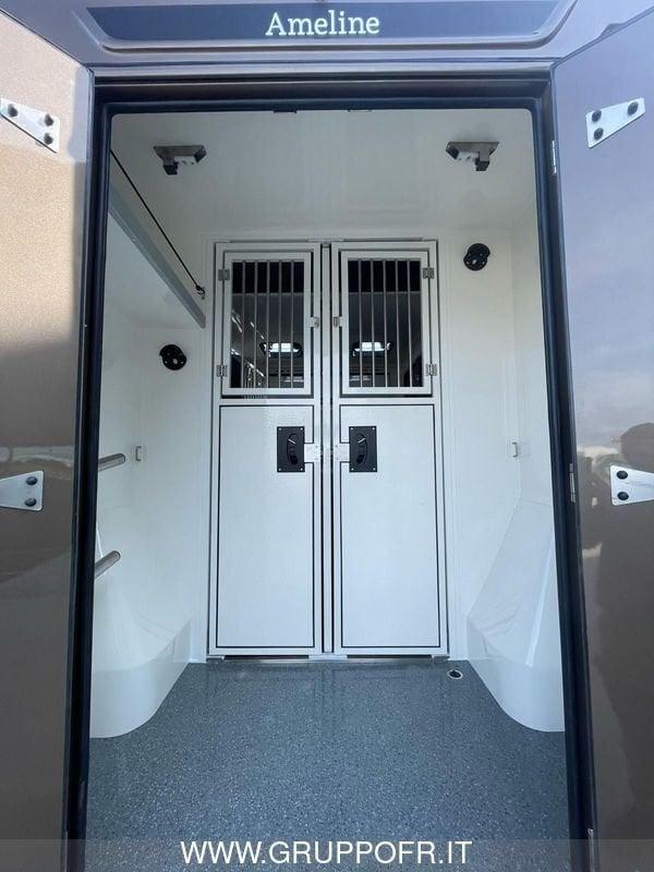Renault Master AMELINE dCi 165 CV 3 POSTI HARAS