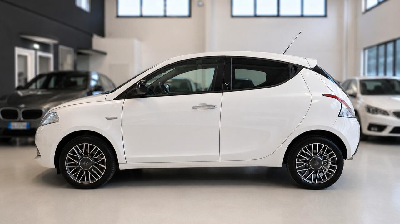 Lancia Ypsilon 1.3 MJT 16V 95 CV 5 porte S&S Platinum