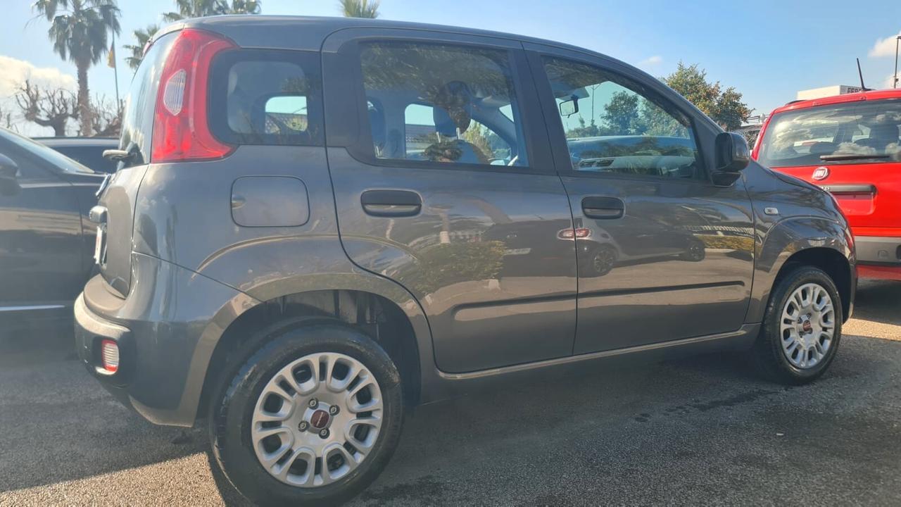 FIAT PANDA 1.2 69CV BUSINESS