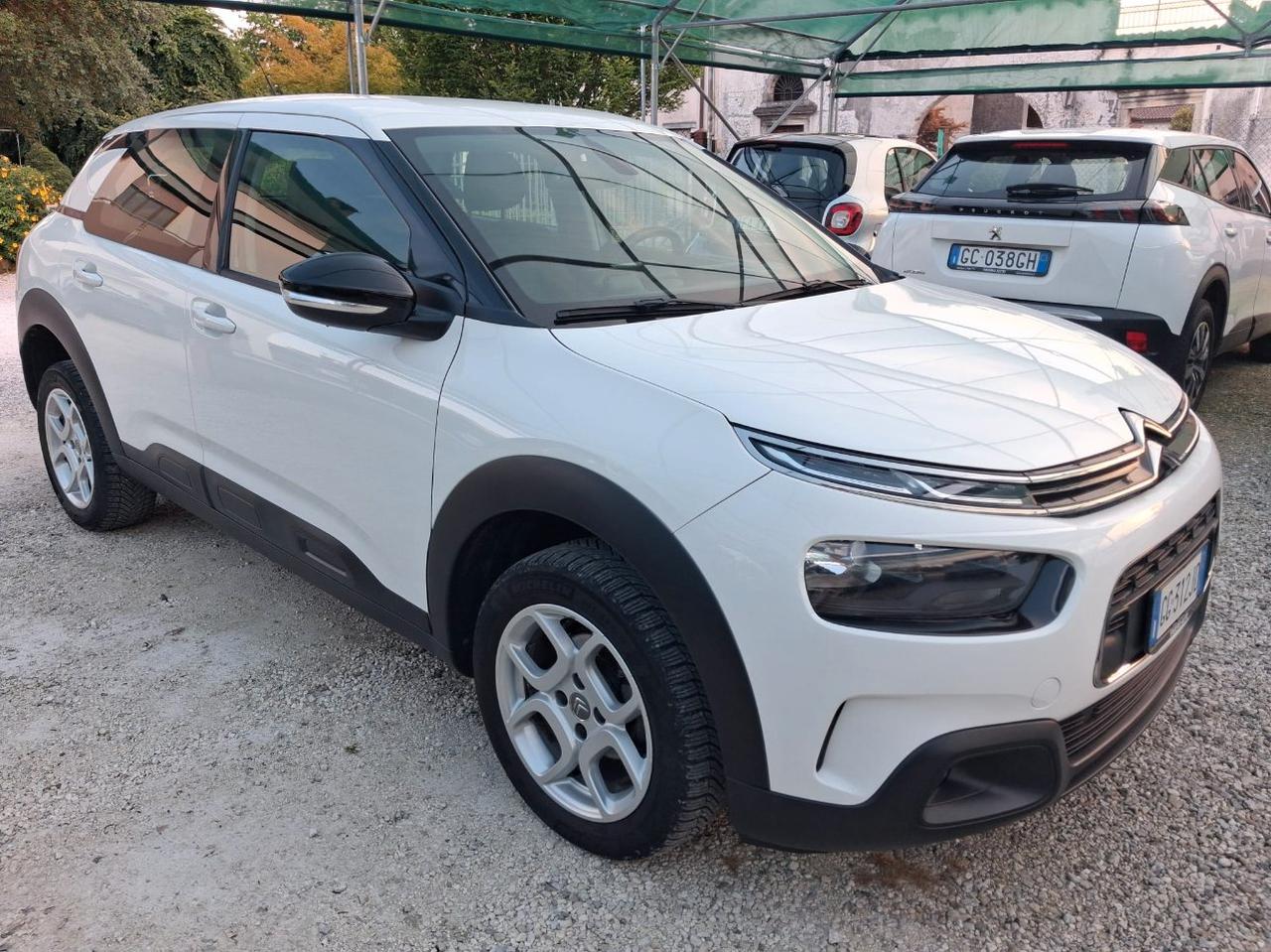 Citroen C4 Cactus 1.5 bluehdi Live s&s 100cv