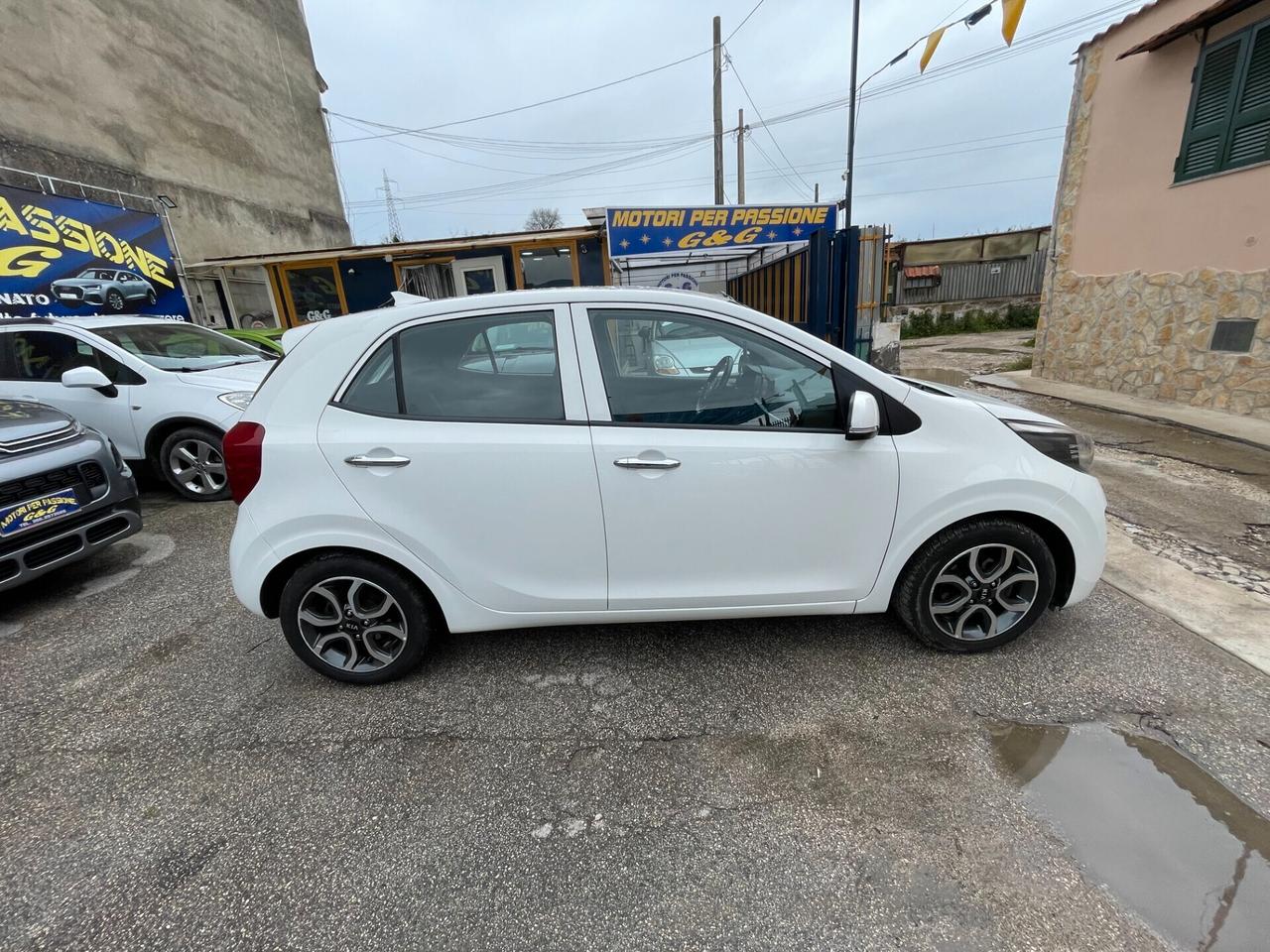 Kia Picanto 1.0 12V EcoGPL 5 porte Cool