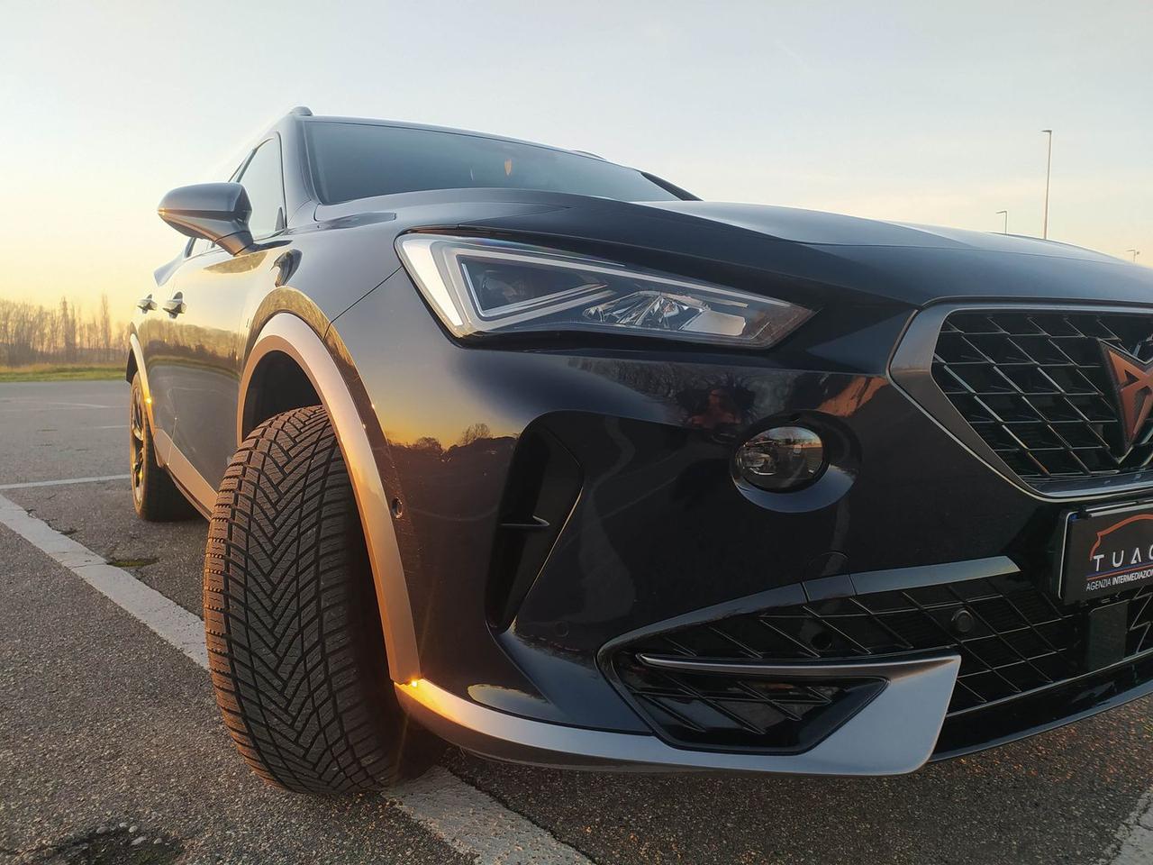 Cupra Formentor Tribe Edition 2.0 TDI #8281