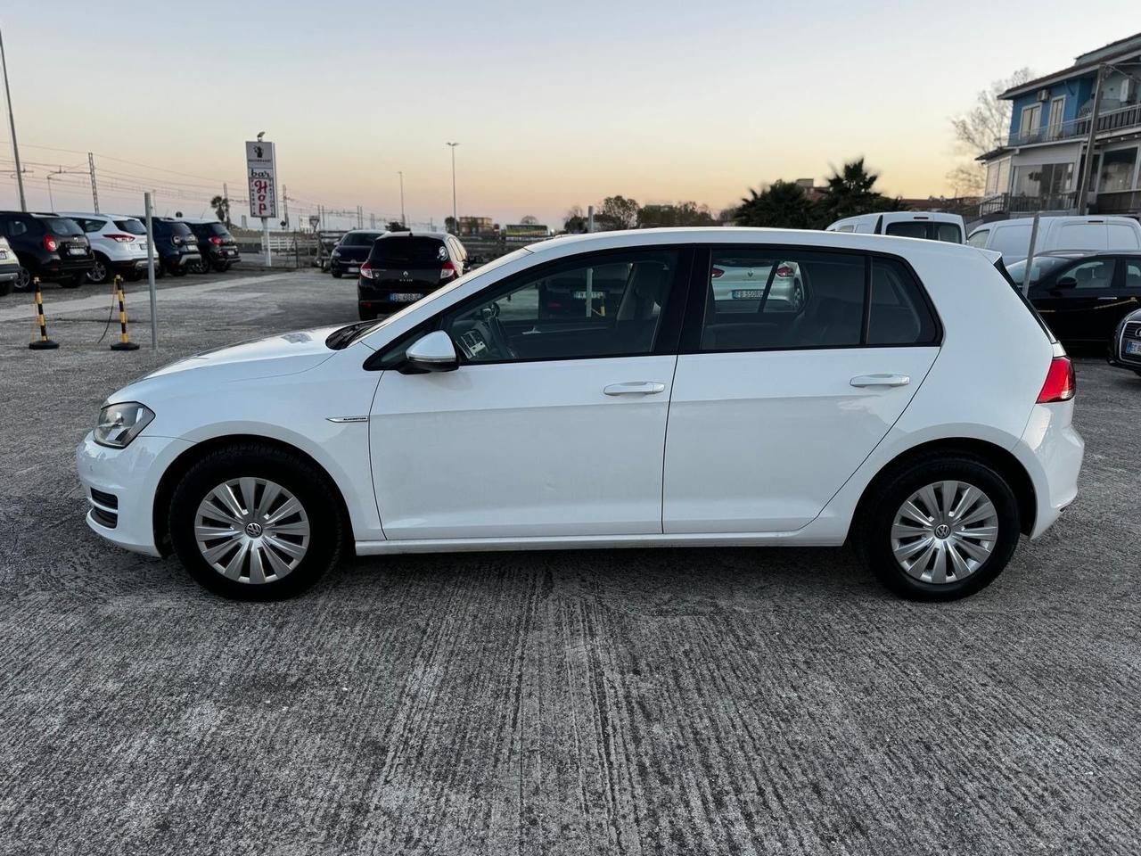 Volkswagen Golf Business 1.4 TGI 5p. Comfortline BlueMotion