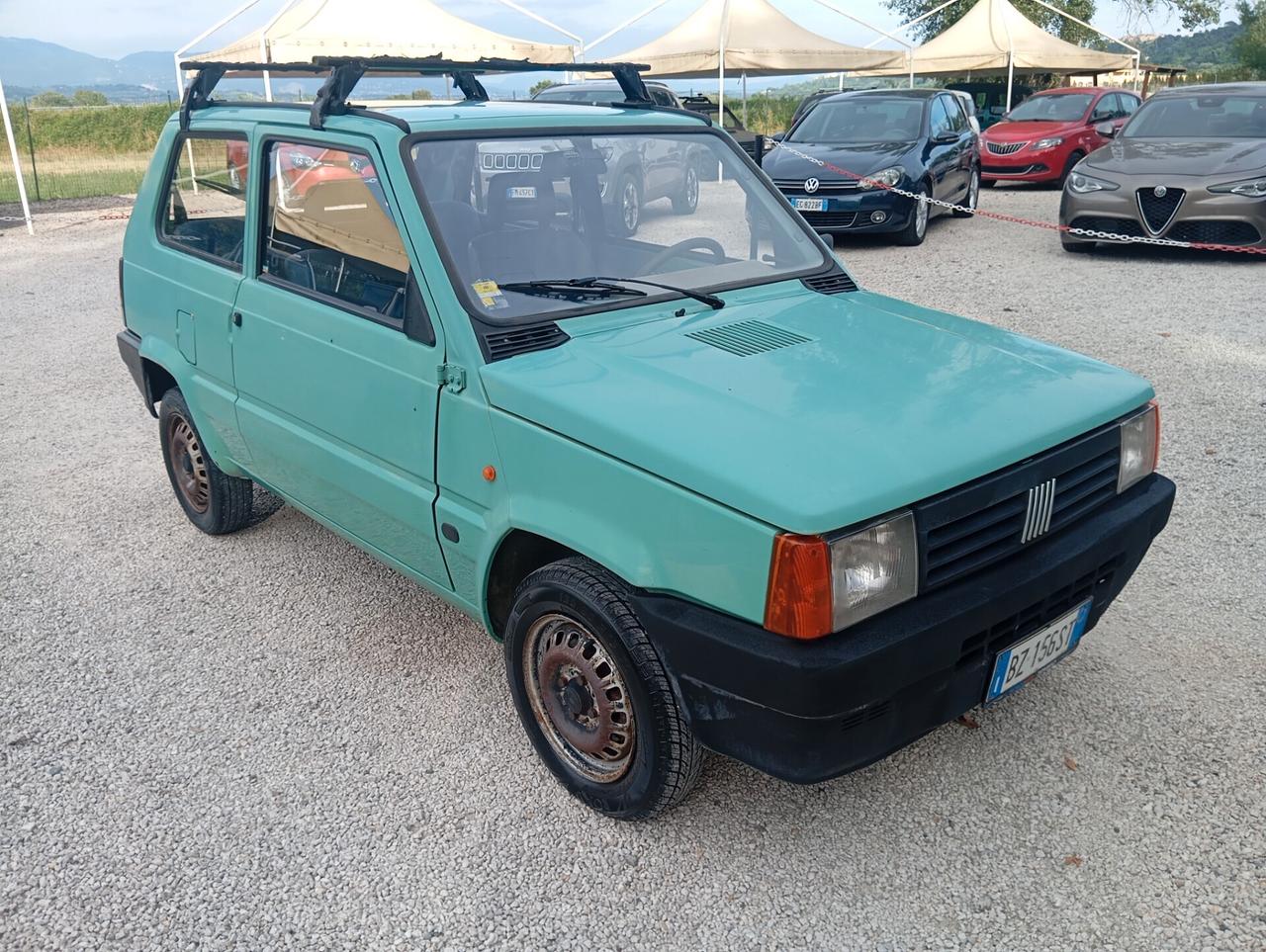 Fiat Panda 1100 i.e. cat Young