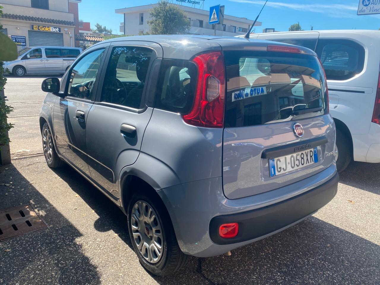 FIAT Panda 1.0 hybrid 5POSTI RadioBT - PREZZO REALE