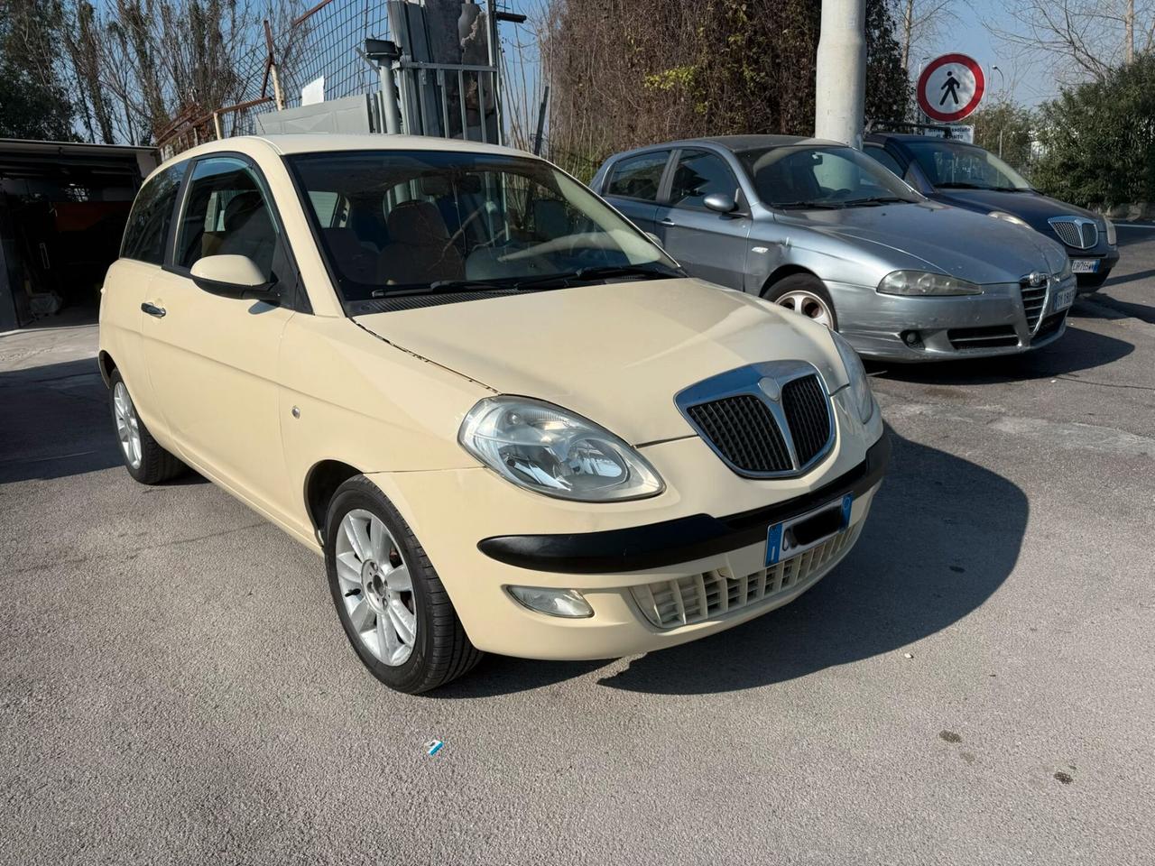 Lancia Ypsilon 1.2 Platino 2005 TAGLIANDATA