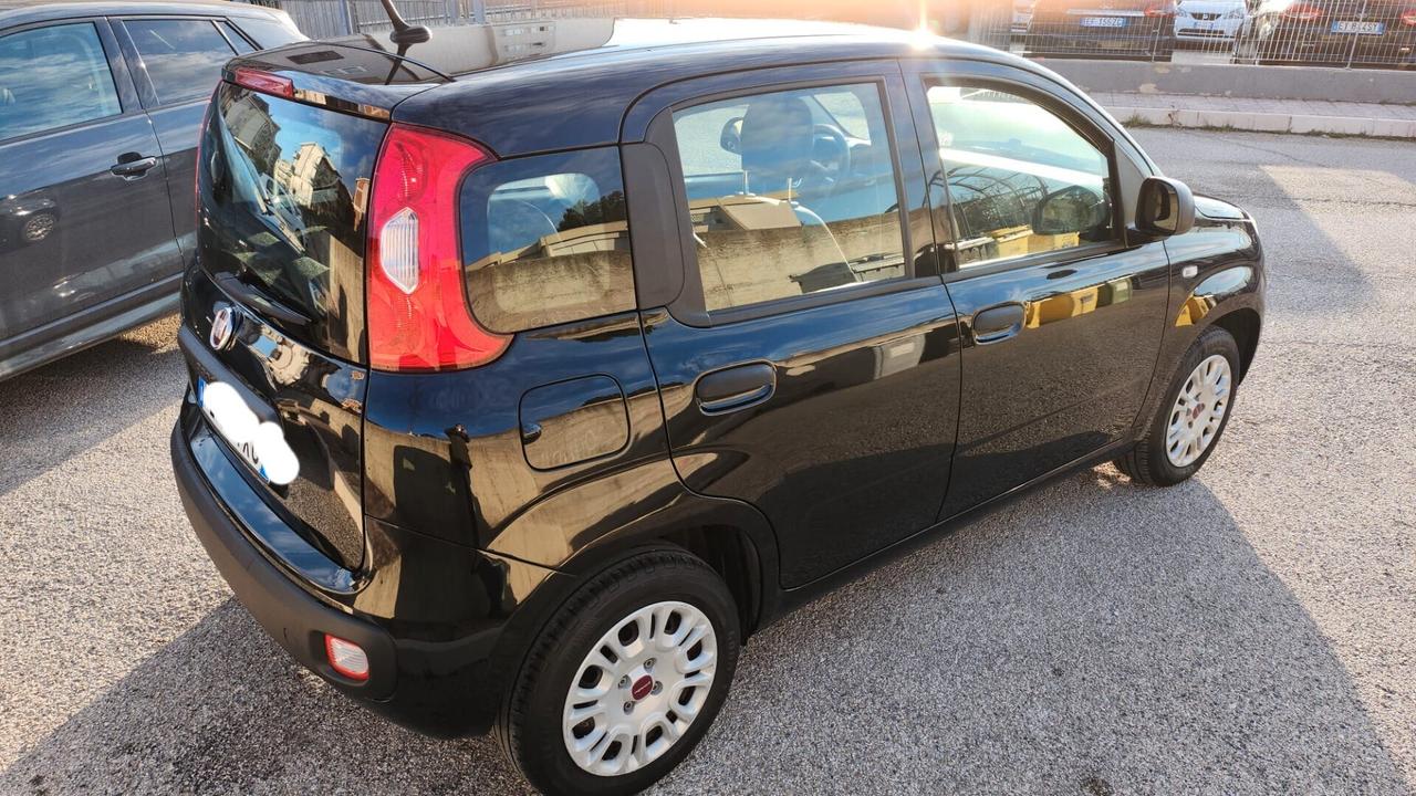 Fiat Panda 1.2 Easy