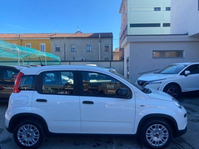 FIAT Panda 1.0 FireFly S&S Hybrid/GPL