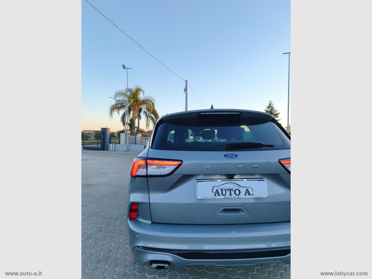 FORD Kuga 1.5 EcoBlue 120 CV aut. 2WD ST-Line