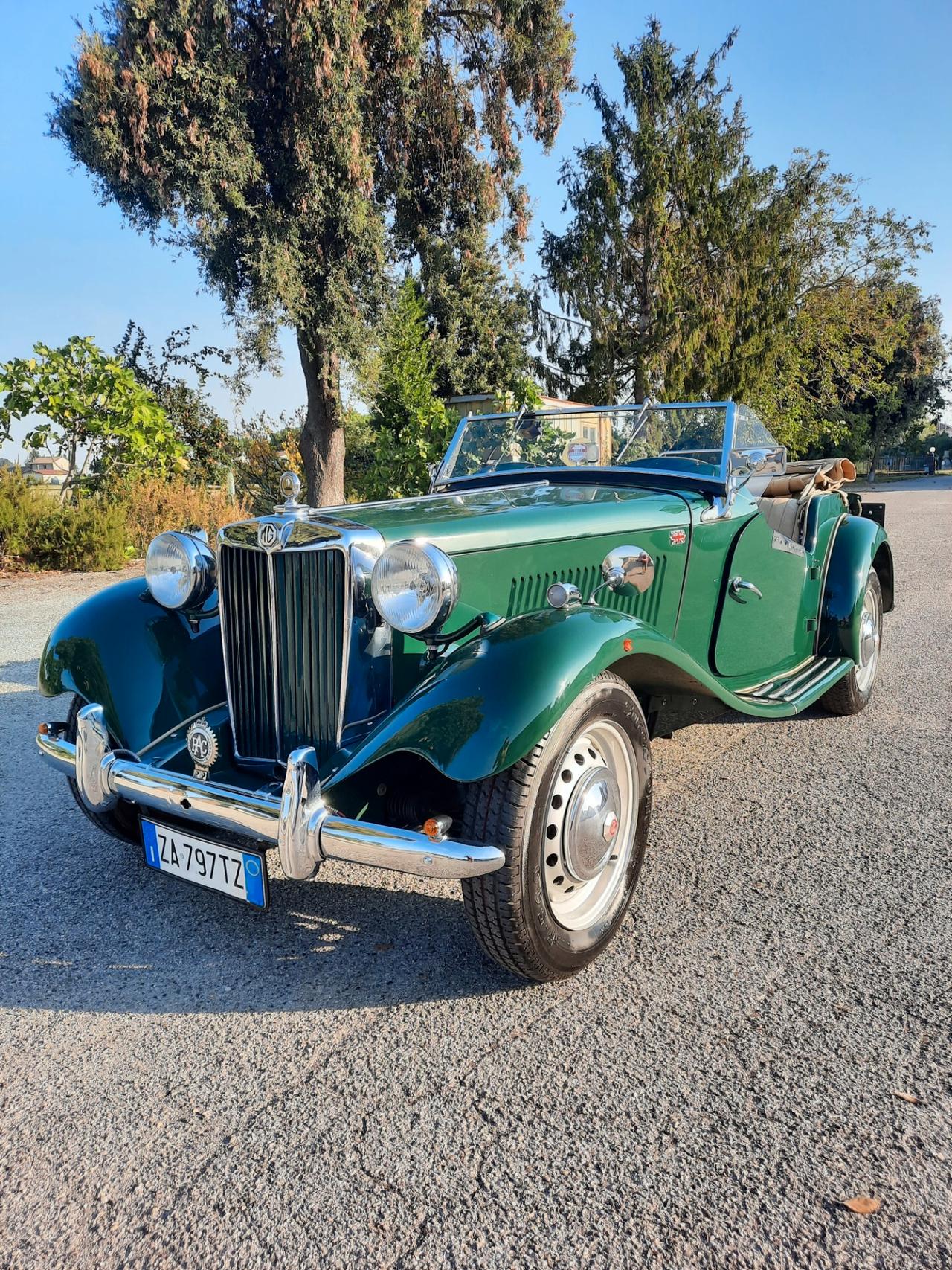 Mg TD