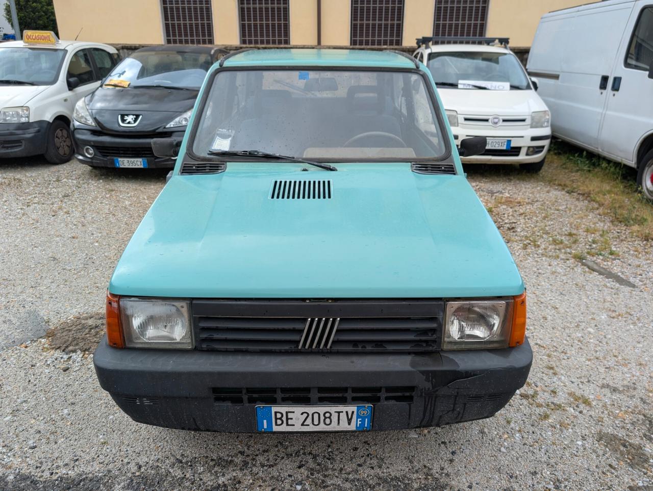Fiat Panda 900 i.e. cat Young