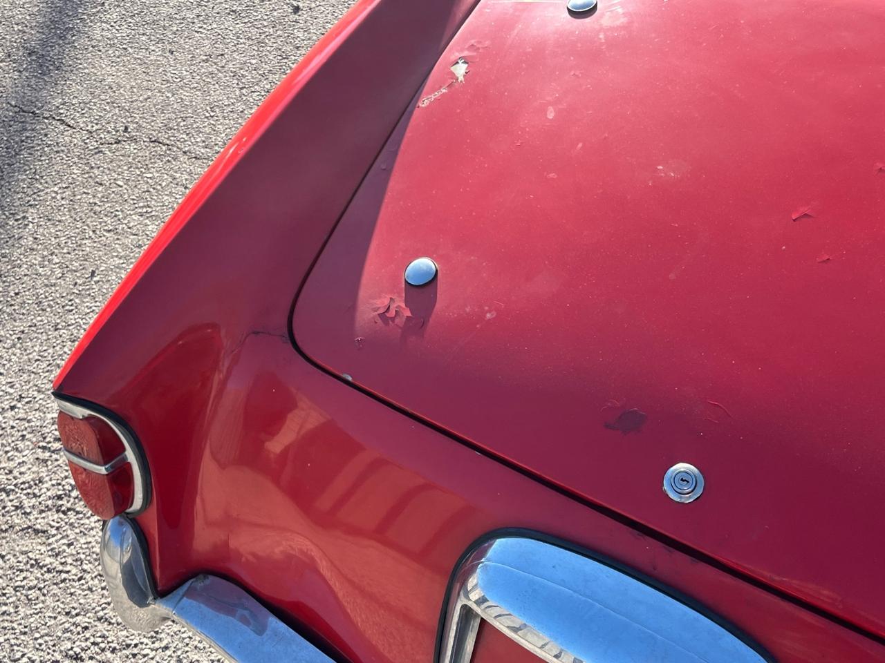 Fiat 1100 TV spider convertibile FUORISERIE Vetture speciali