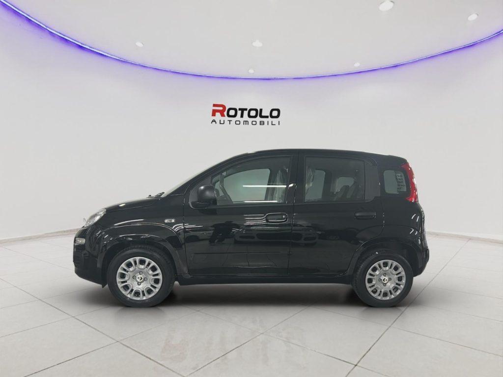 FIAT Panda 3ª serie Panda 1.0 FireFly S&S Hybr...