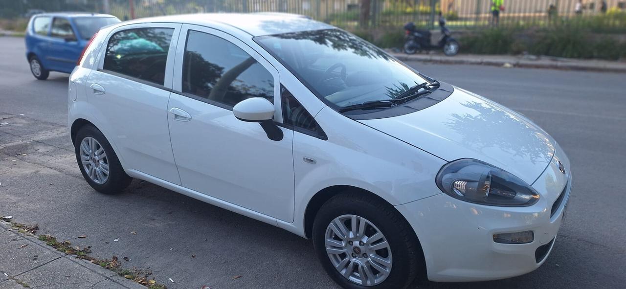 Fiat Punto 1.2 8V 5 porte Street