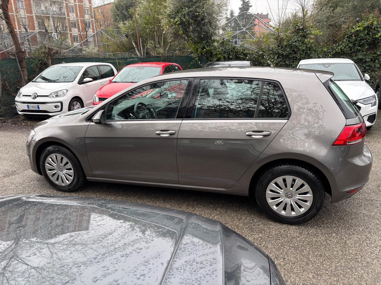 Volkswagen Golf 1.6 TDI 90 CV 5p. OK Neopatentati