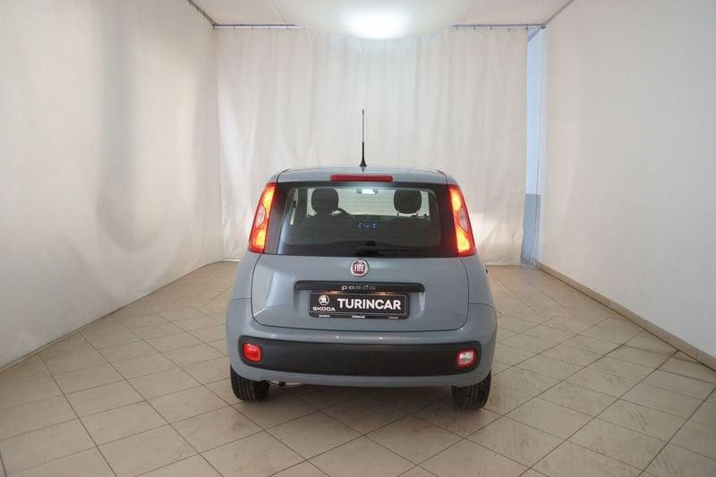 FIAT Panda 1.2 69cv E6d-Temp Easy