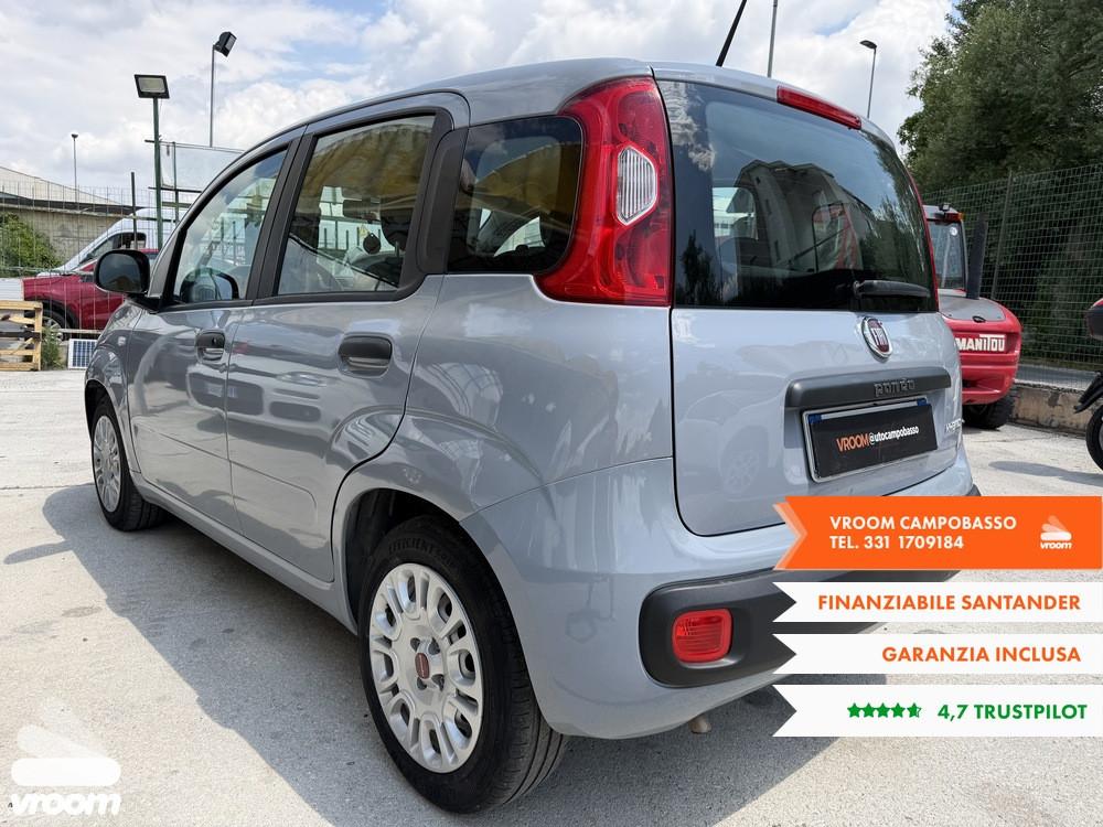 FIAT Panda 3ª serie Panda 1.0 FireFly S&S Hybrid