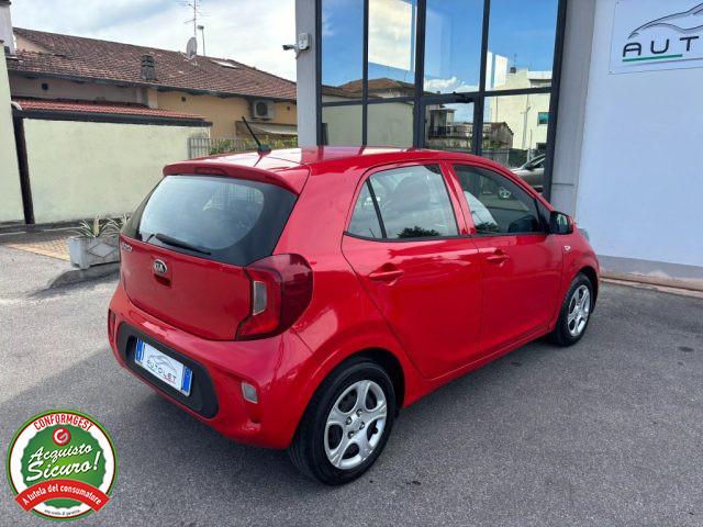 KIA Picanto 1.0 12V 5 porte Cool - PER NEOPATENTATO -