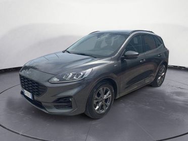 Ford Kuga 1.5 EcoBlue 120 CV ST-Line