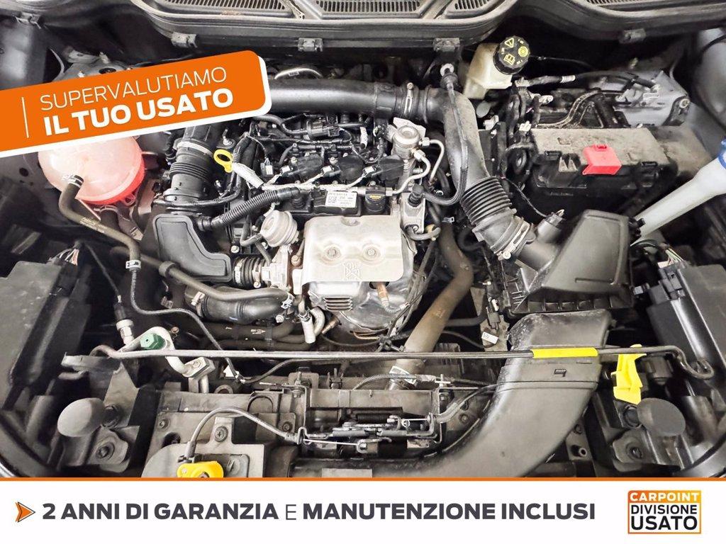 FORD Ecosport 1.0 ecoboost active s&s 125cv del 2021