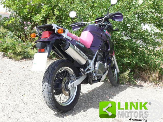 KAWASAKI KLE 500 Viola Fucsia