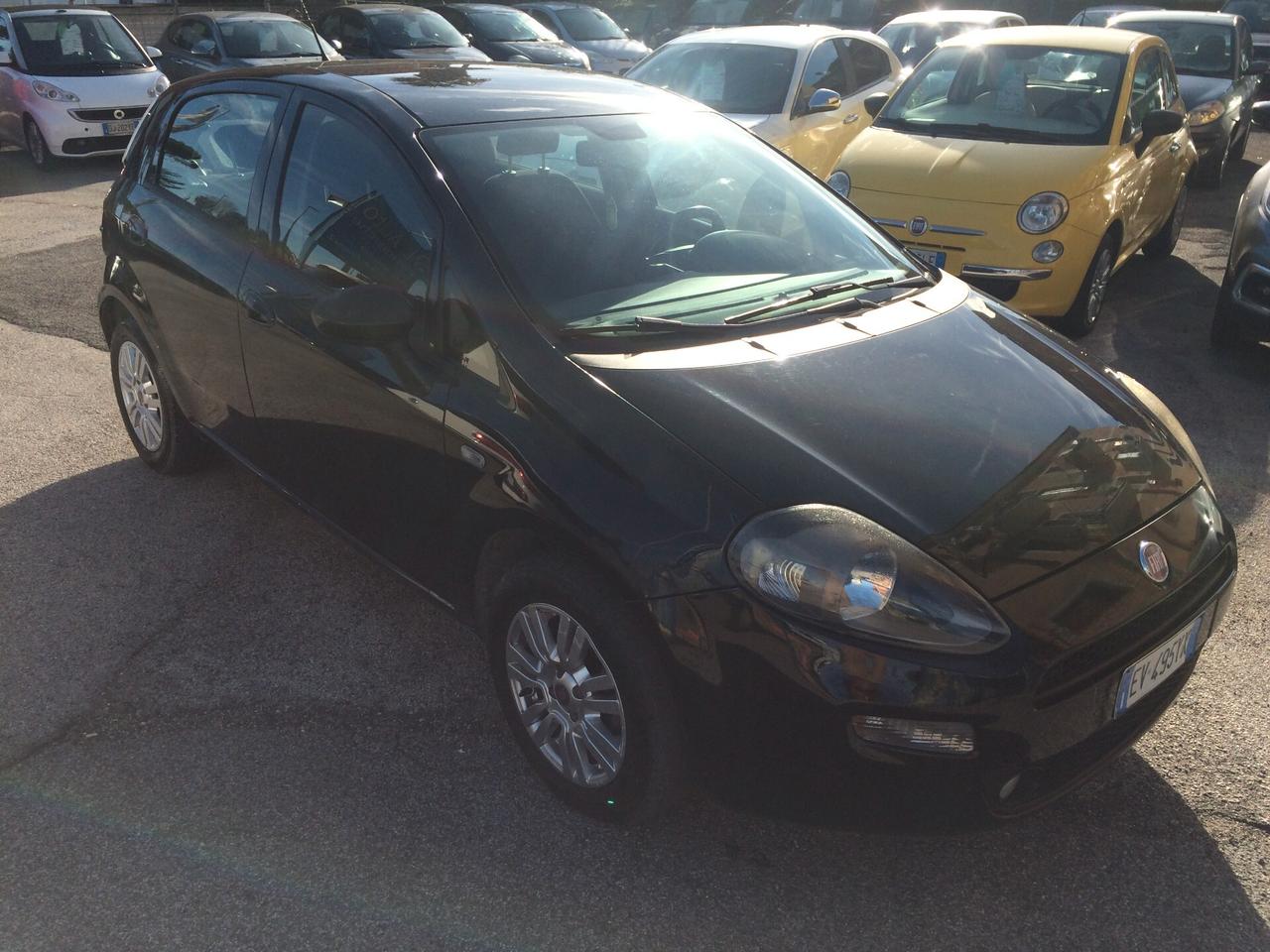 Fiat Punto 1.2 8V 5 porte Lounge tagliandat con garanzia auto per neopatentati!!