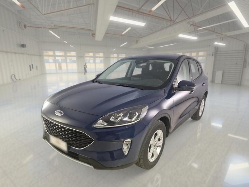 FORD KUGA 1.5 EcoBlue 120CV 2WD Connect Auto