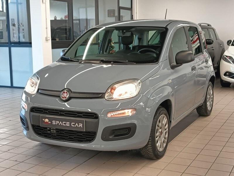 FIAT Panda 3ª serie Panda 1.2 Easy